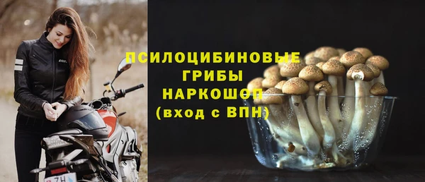 стафф Вяземский