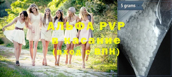 стафф Вяземский