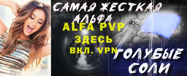 стафф Вяземский