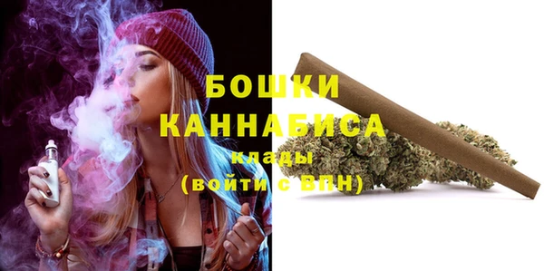стафф Вяземский