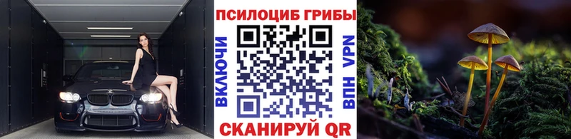 Галлюциногенные грибы ЛСД  Купить  Ковдор 